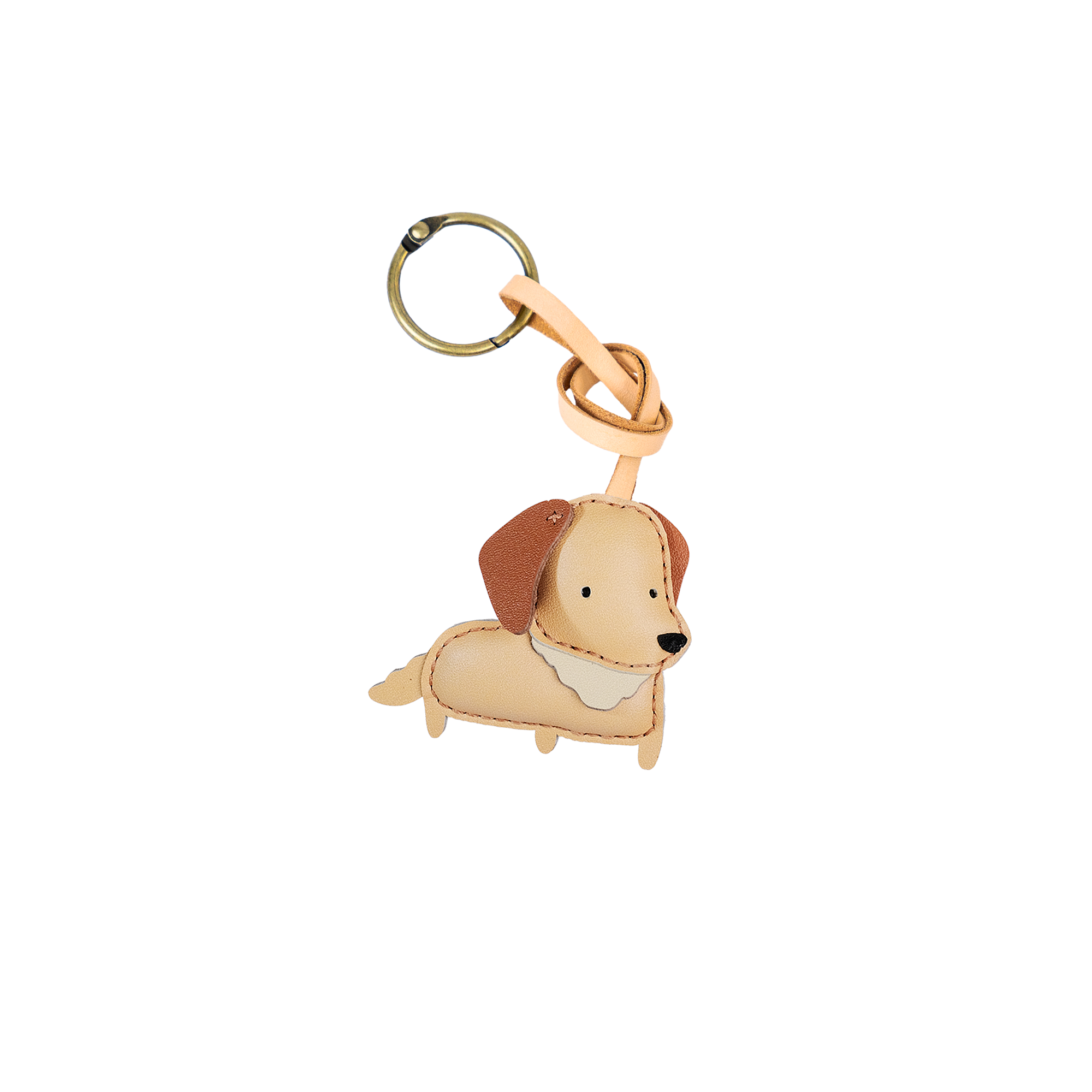 Dog Collection