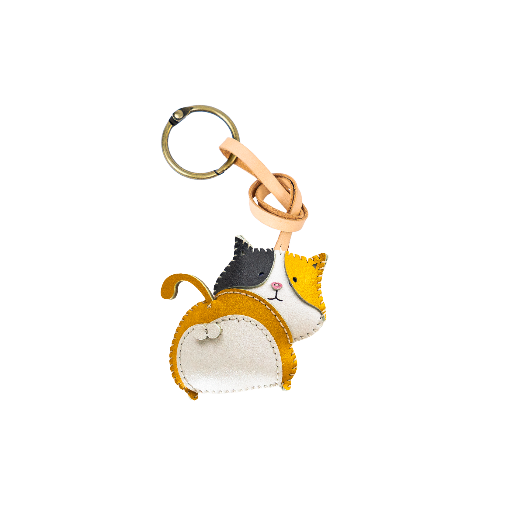 Cat Collection
