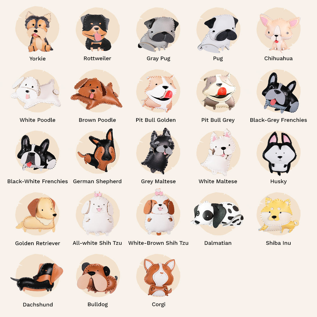A collection of various dog breed illustrations.