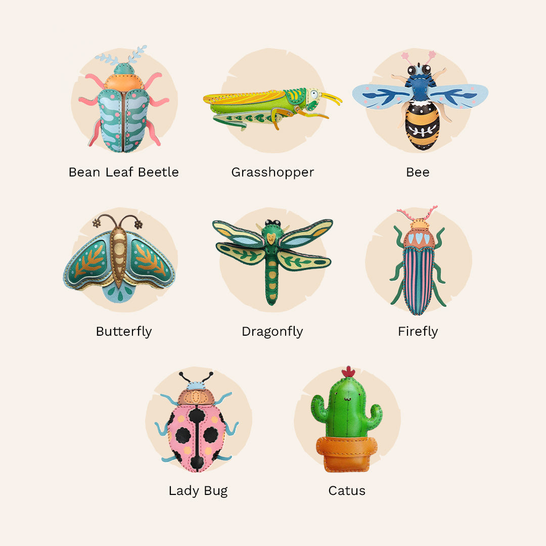 Insects Collection