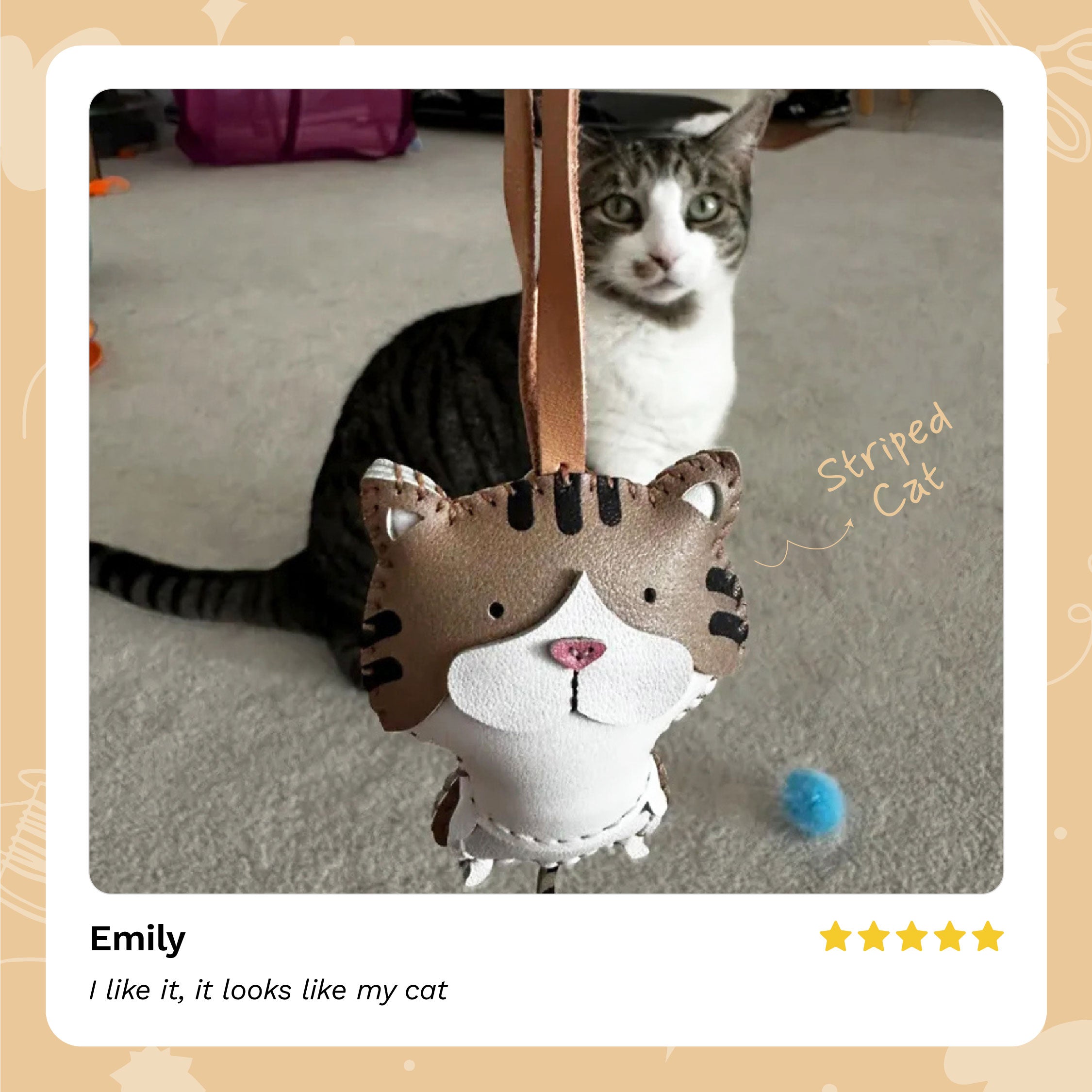 Cat Collection