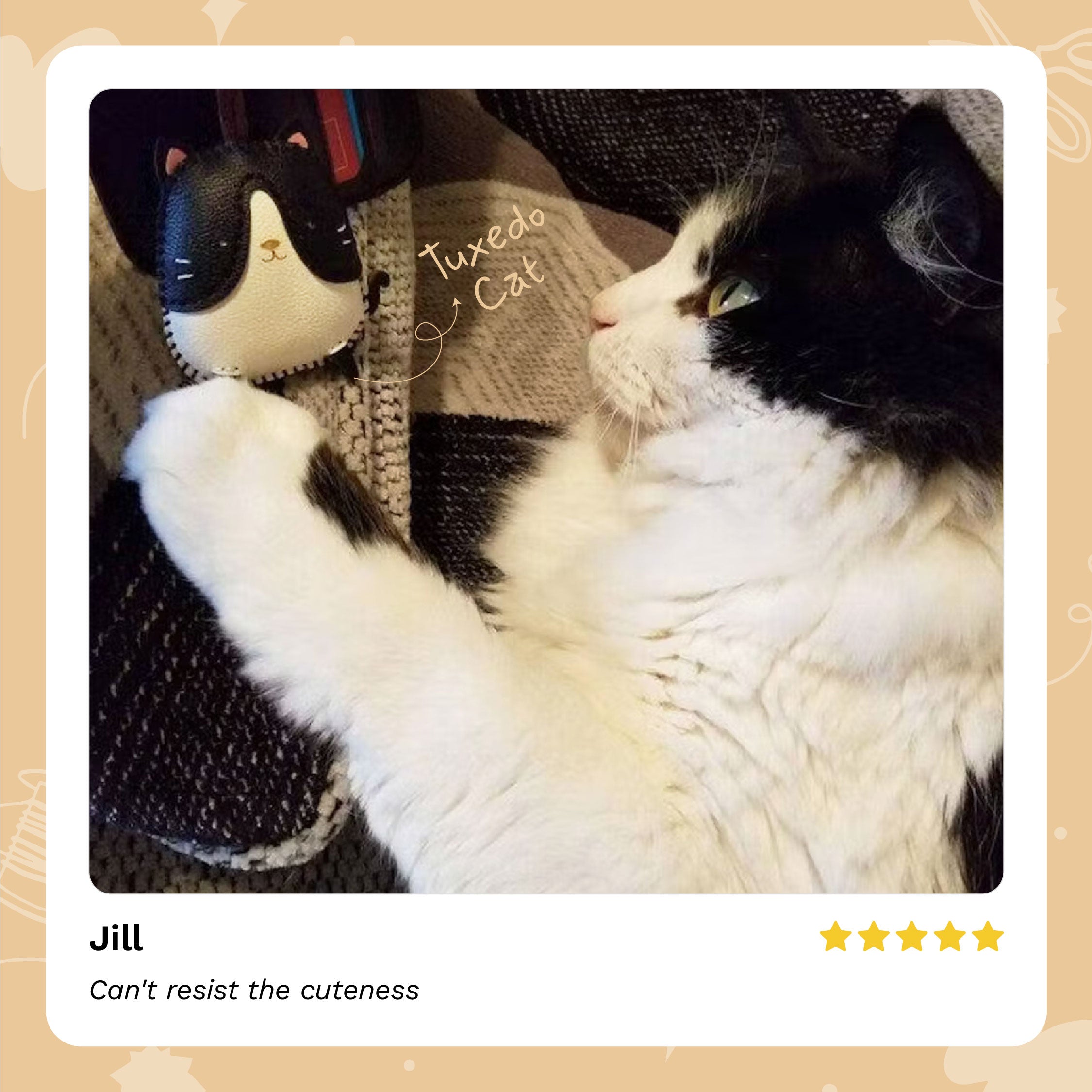 Cat Collection