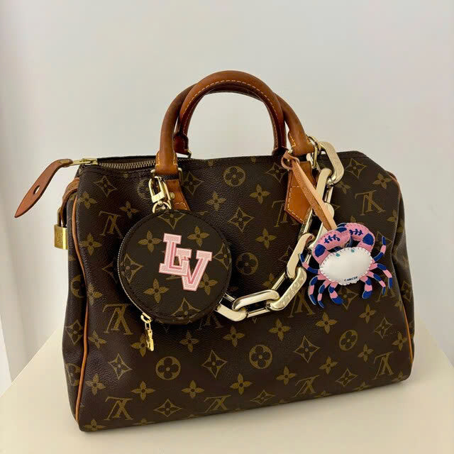 12 Zodiac Signs Collection