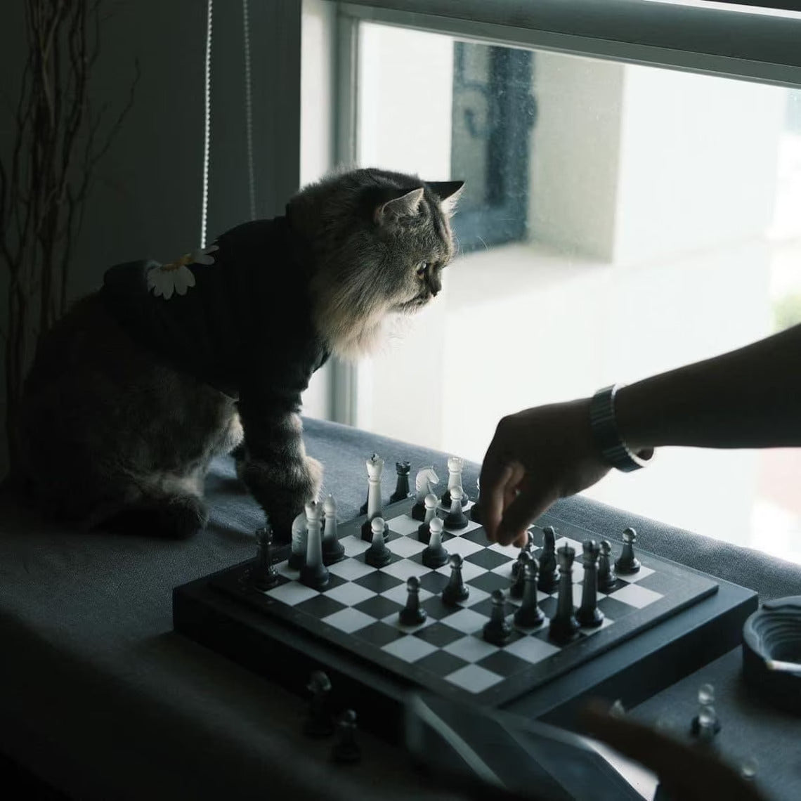 Monochrome Chess Set