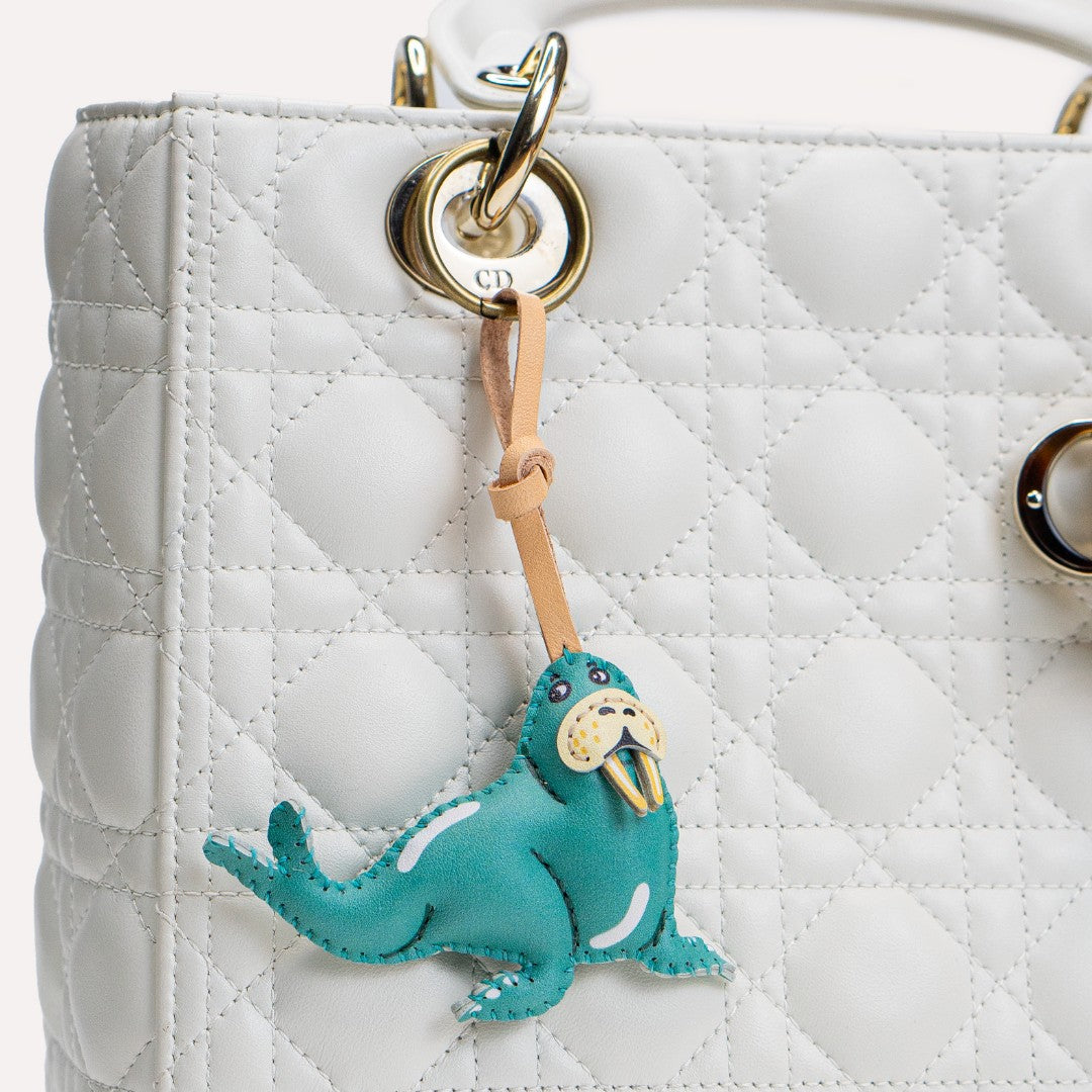 Underwater Collection