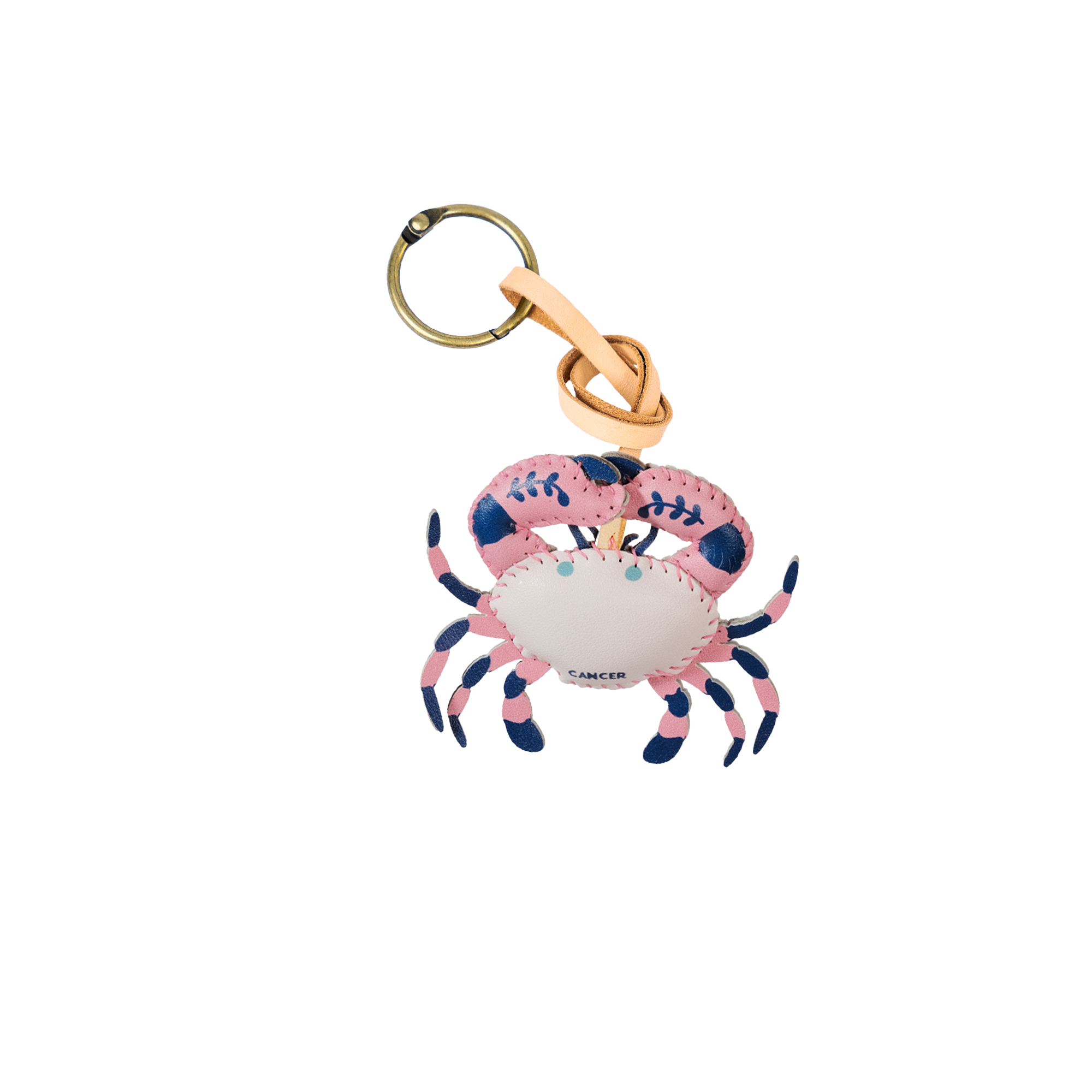 12 Zodiac Signs Collection