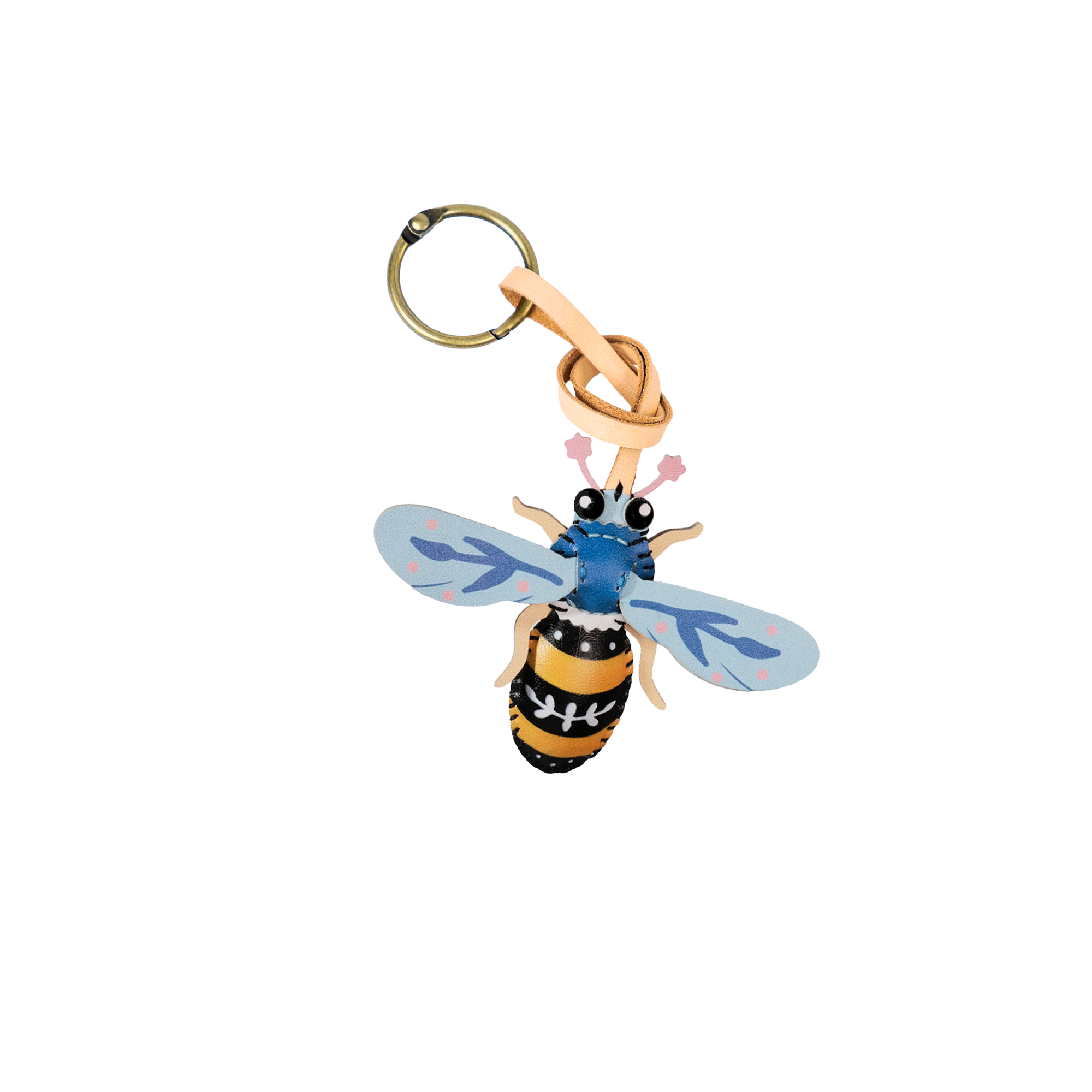 Insects Collection