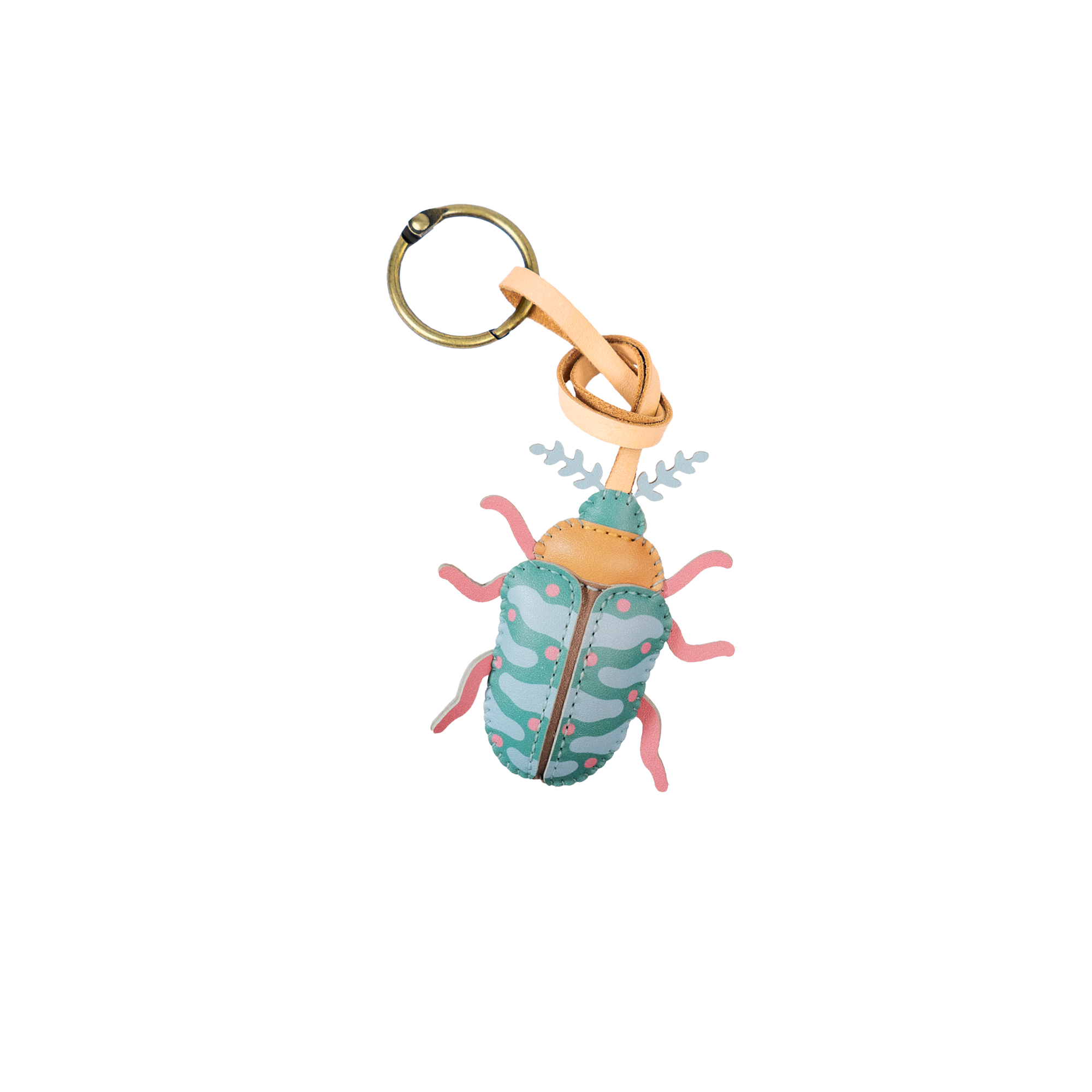 Insects Collection
