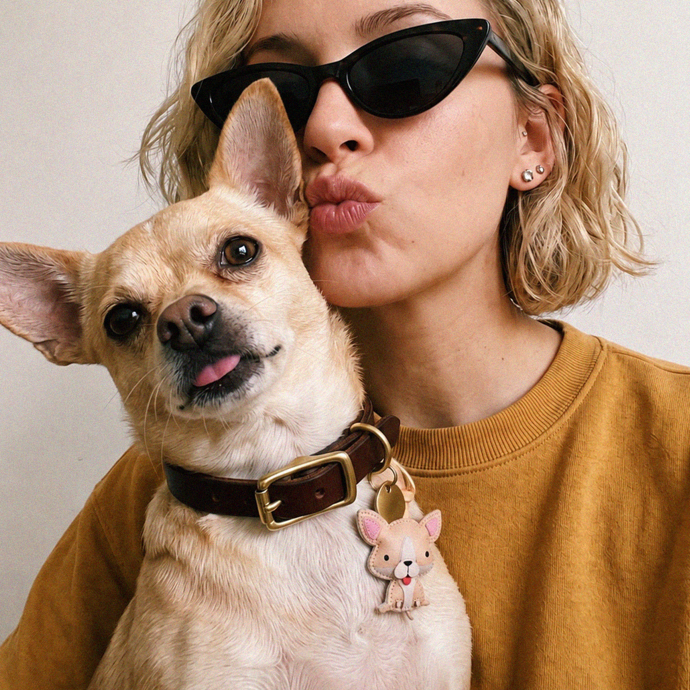 Dog Collection
