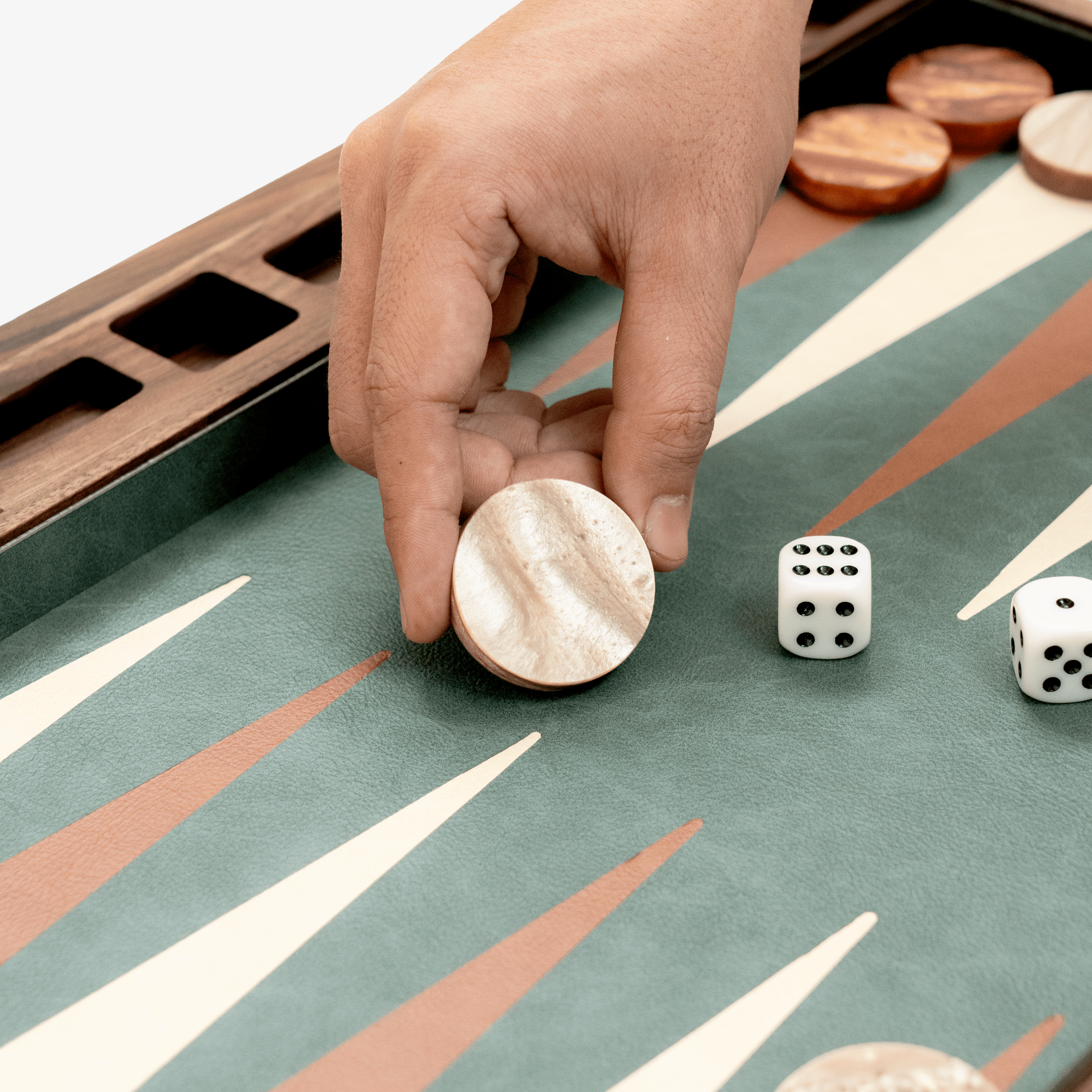 Luxury Backgammon Set
