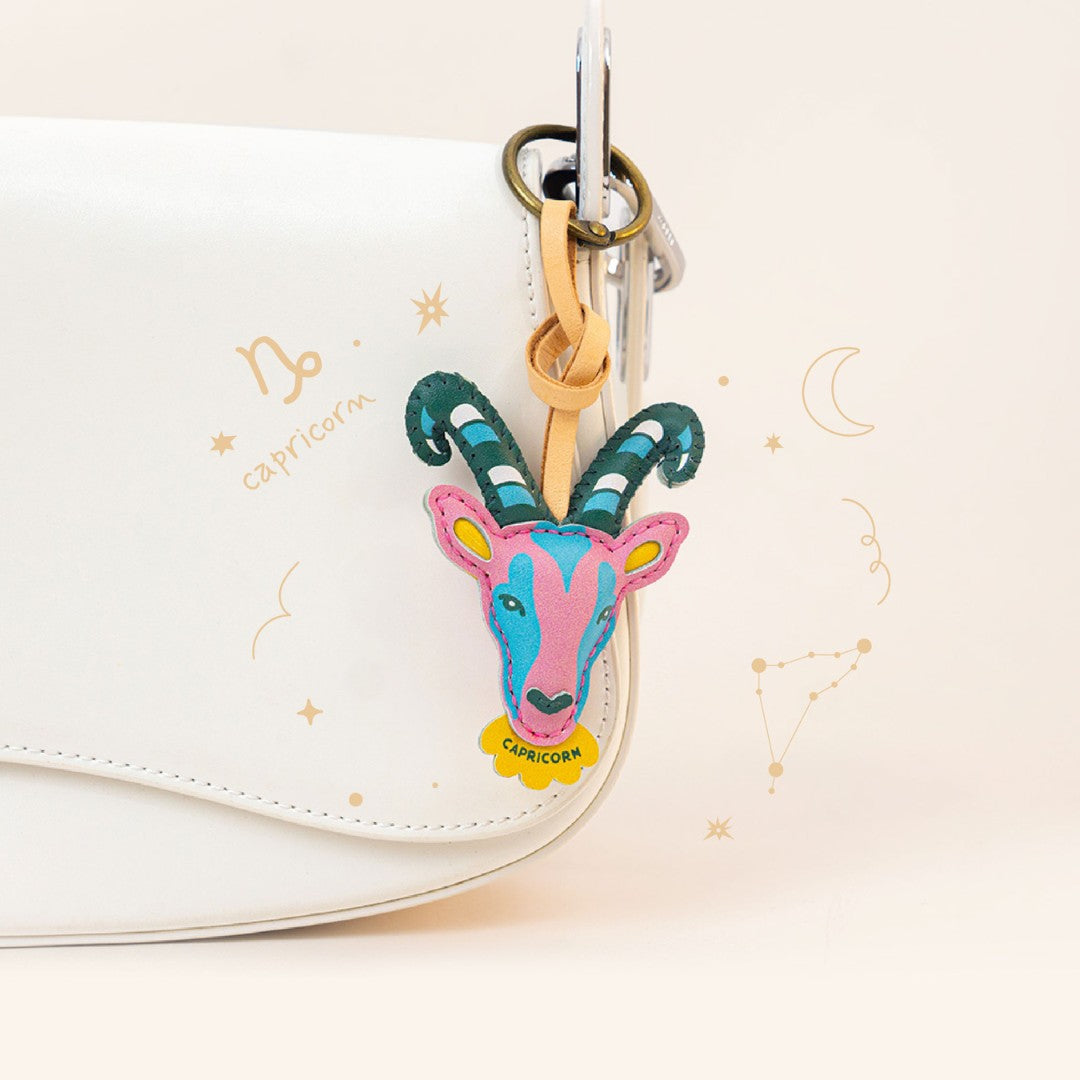 12 Zodiac Signs Collection