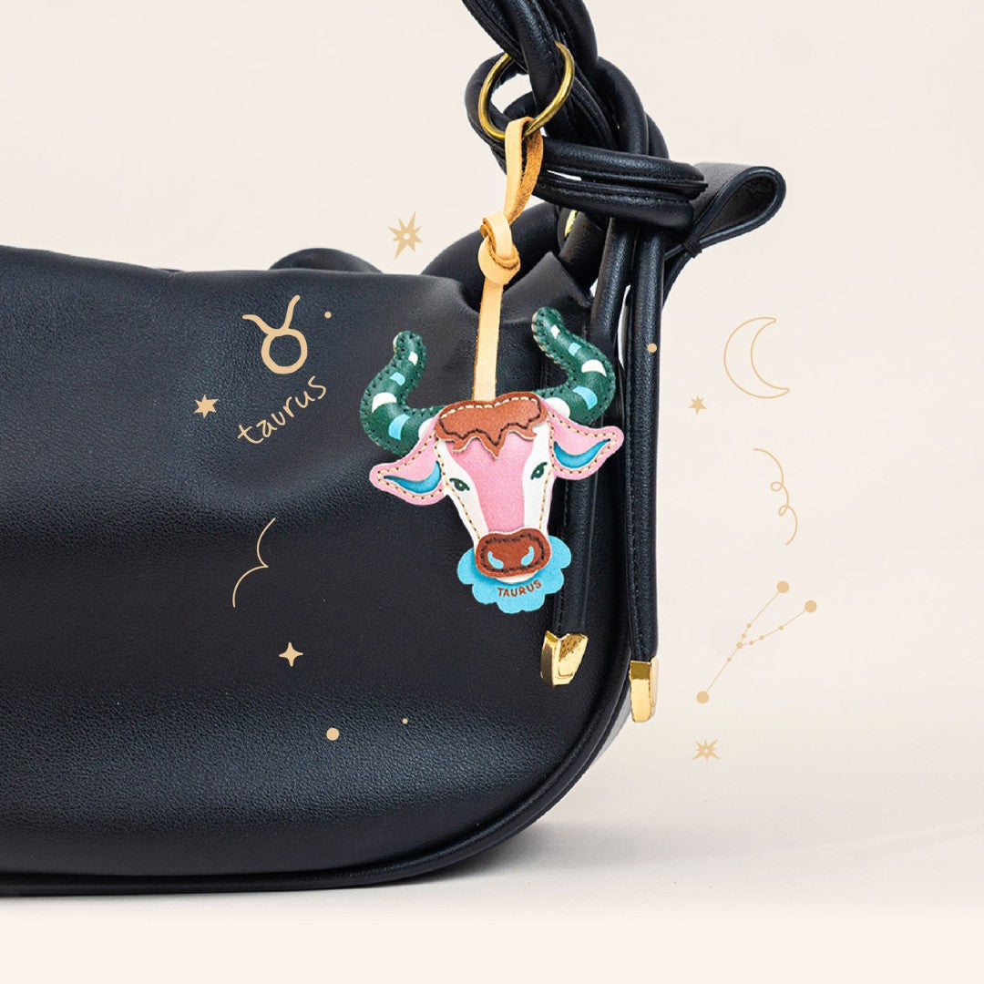 12 Zodiac Signs Collection