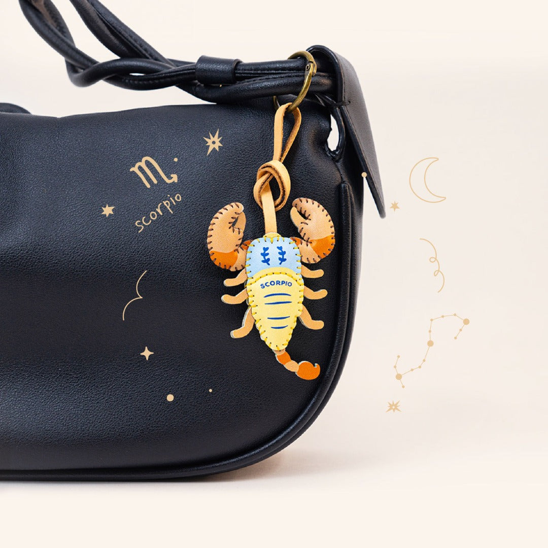 12 Zodiac Signs Collection